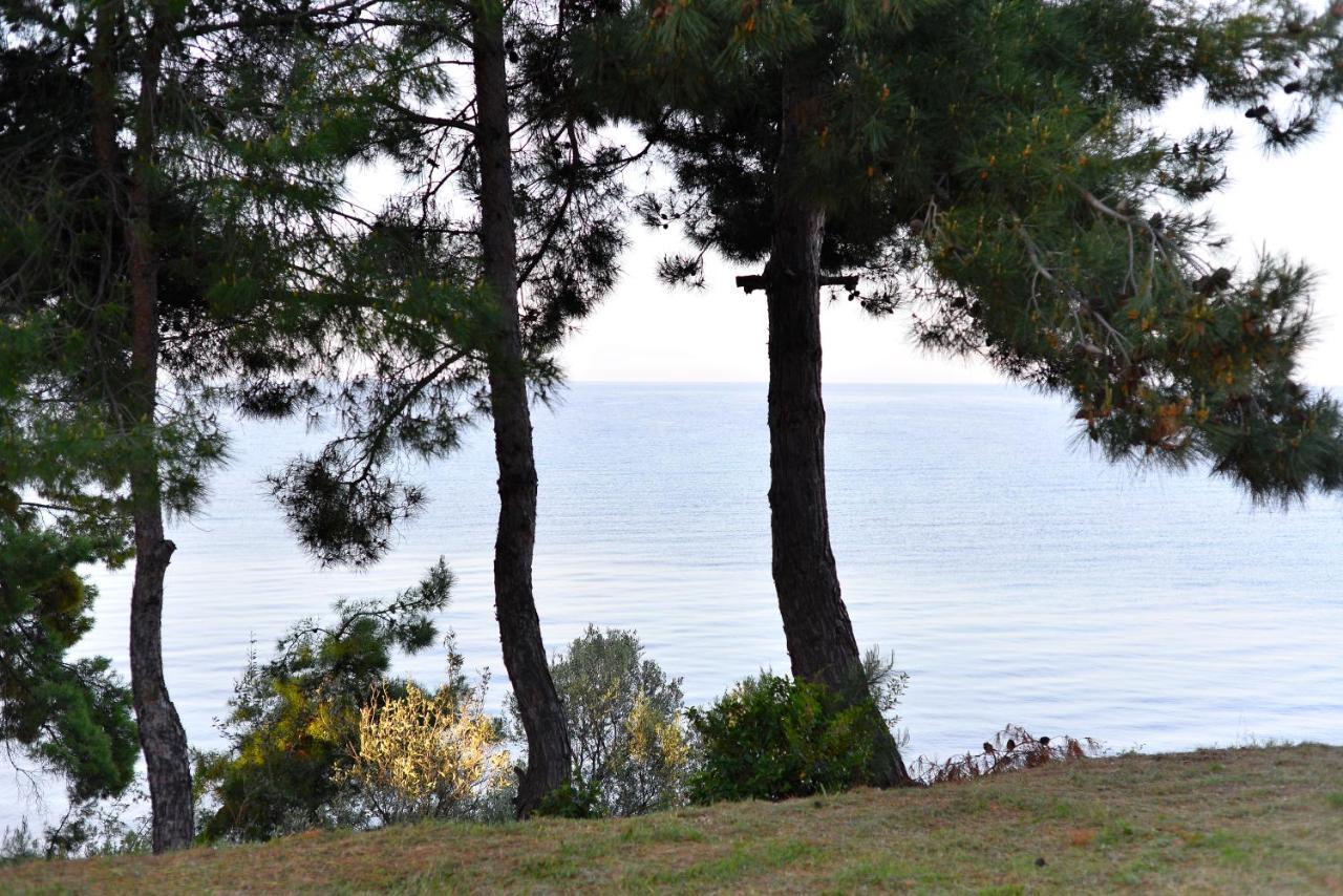 Summerday Villa Private Beach Nea Iraklia Esterno foto